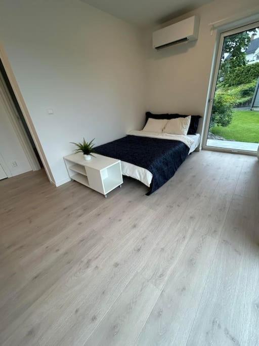 Appartement Lisas Apartment, Private New 1 Bedroom And 1 Living With Sofa Bed And Big Windows, Share With Nobody *