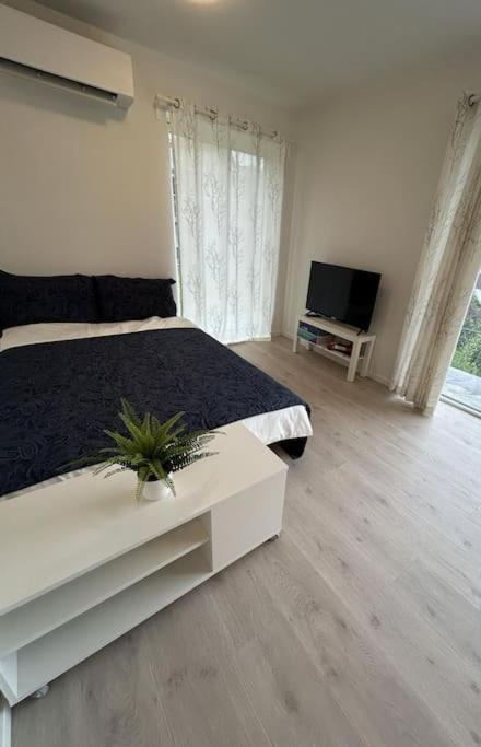 Lisas Apartment, Private New 1 Bedroom And 1 Living Room With Sofa Bed And Big Windows, Share With Nobody Appartamento